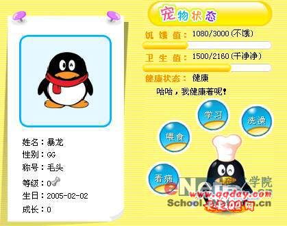 QQ